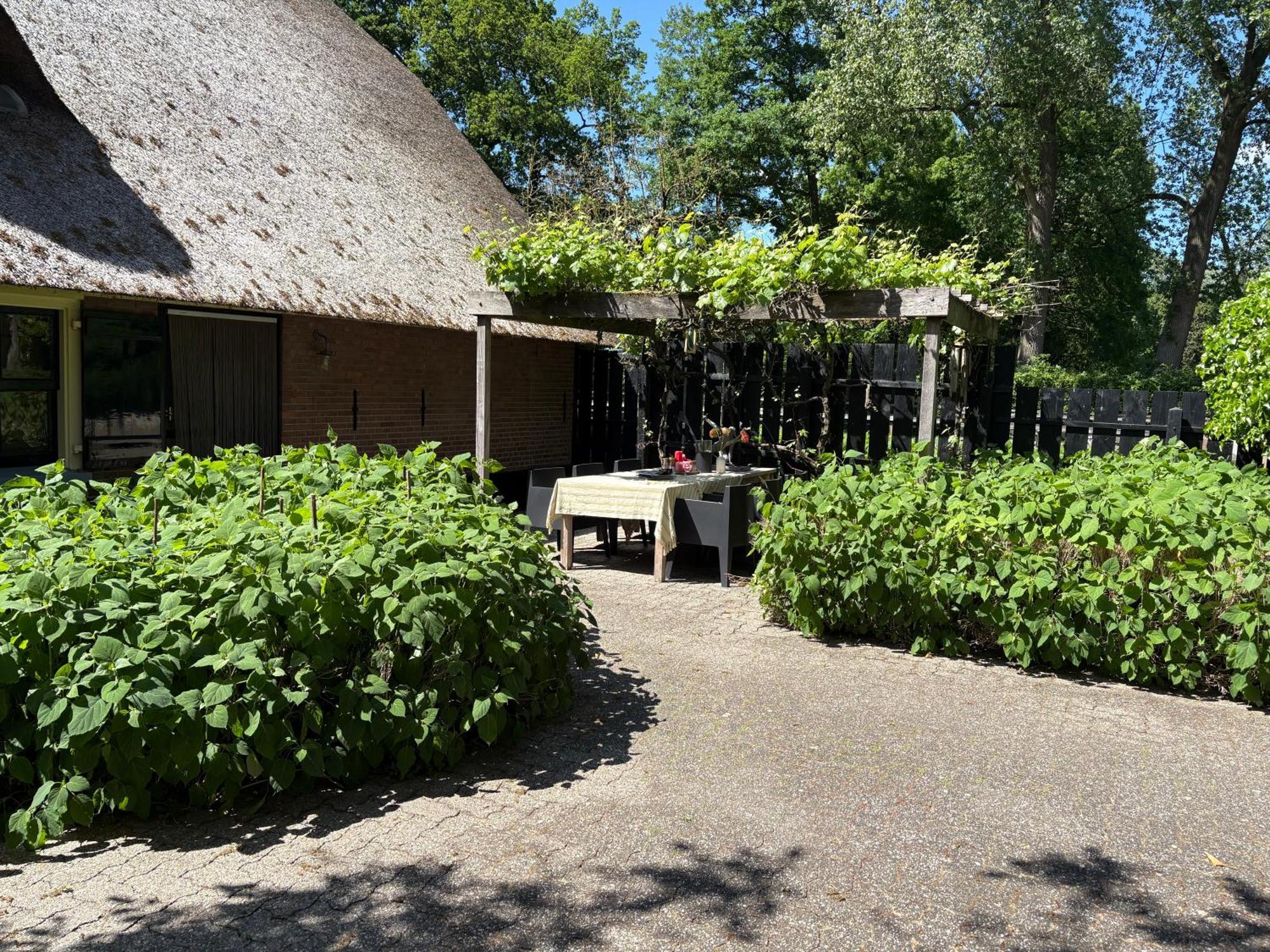 Luxe Hofstede Met Paardenstalling Люнтерен Экстерьер фото